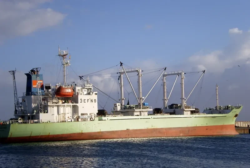 NEW TAKATSUKI General Cargo IMO 9015838
