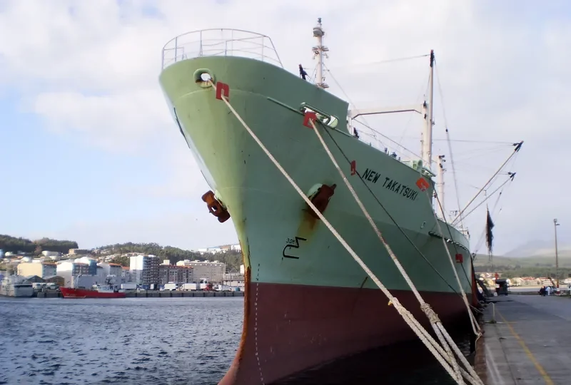 NEW TAKATSUKI General Cargo IMO 9015838 photo 2
