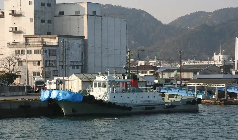 TAIHO MARU General Cargo IMO 9016208 photo 2
