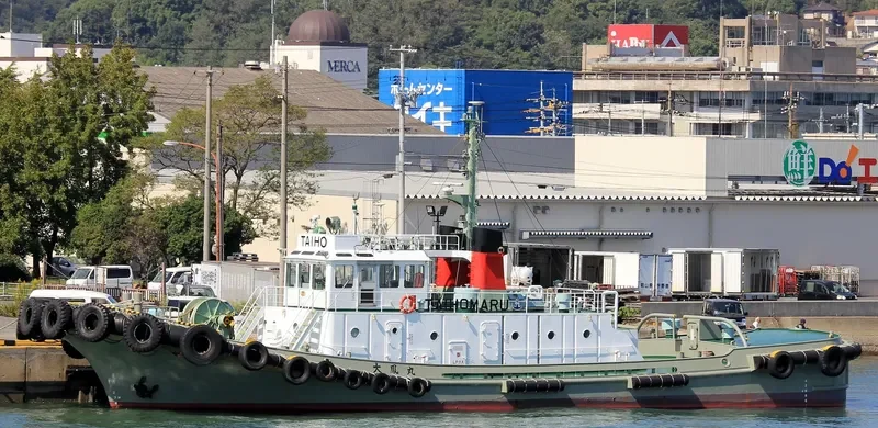 TAIHO MARU General Cargo IMO 9016208 photo 5