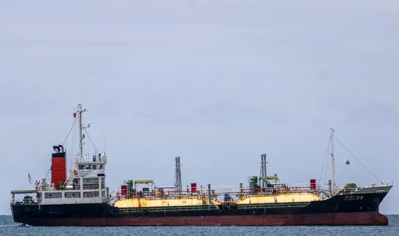 PILATUS 51 General Cargo IMO 9016284 photo 10