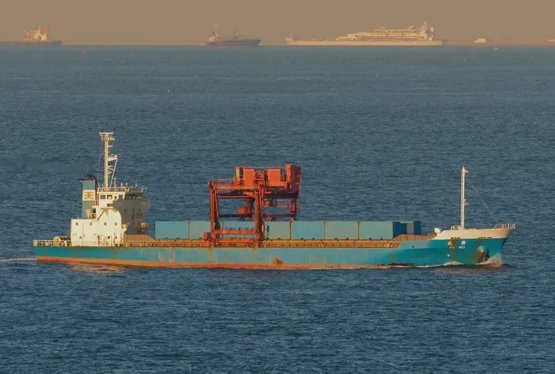 SEABORNE CARGO 8 Container Ship IMO 9016301 photo 2