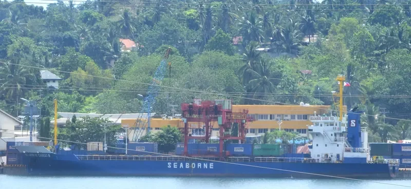 SEABORNE CARGO 8 Container Ship IMO 9016301 photo 9