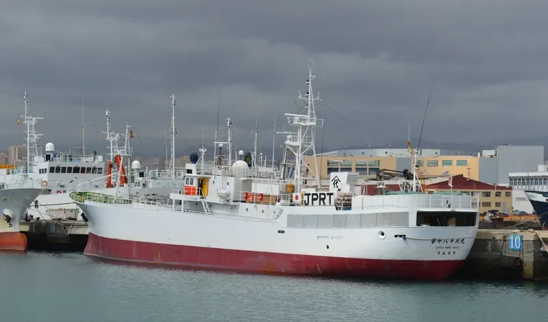 CHIYO MARU NO.18 General Cargo IMO 9016521