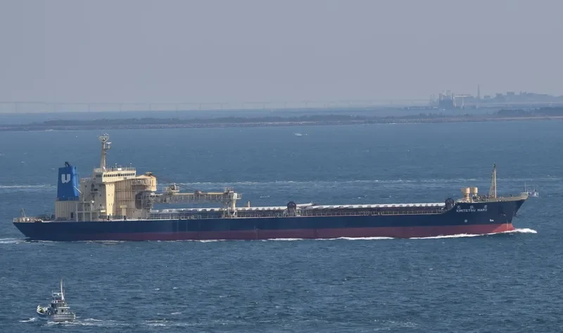 CLEAN OCEAN 1 Bulk Carrier IMO 9016650