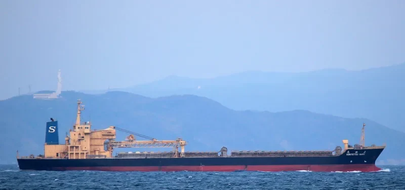 CLEAN OCEAN 1 Bulk Carrier IMO 9016650 photo 2