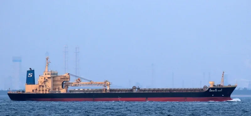 CLEAN OCEAN 1 Bulk Carrier IMO 9016650 photo 4