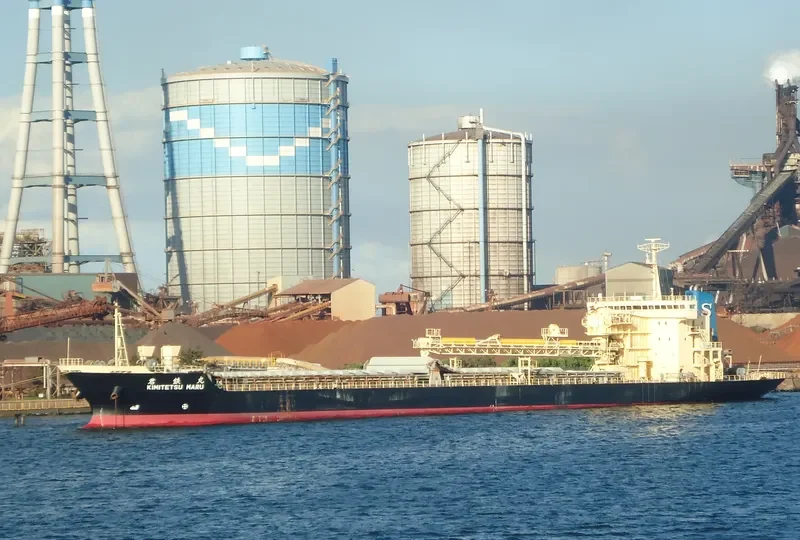 CLEAN OCEAN 1 Bulk Carrier IMO 9016650 photo 7