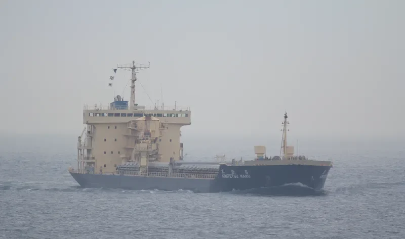 CLEAN OCEAN 1 Bulk Carrier IMO 9016650 photo 8