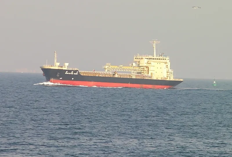 CLEAN OCEAN 1 Bulk Carrier IMO 9016650 photo 9
