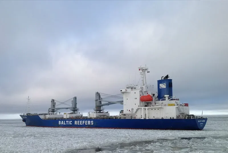 BALTIC PILGRIM General Cargo IMO 9016662 photo 6