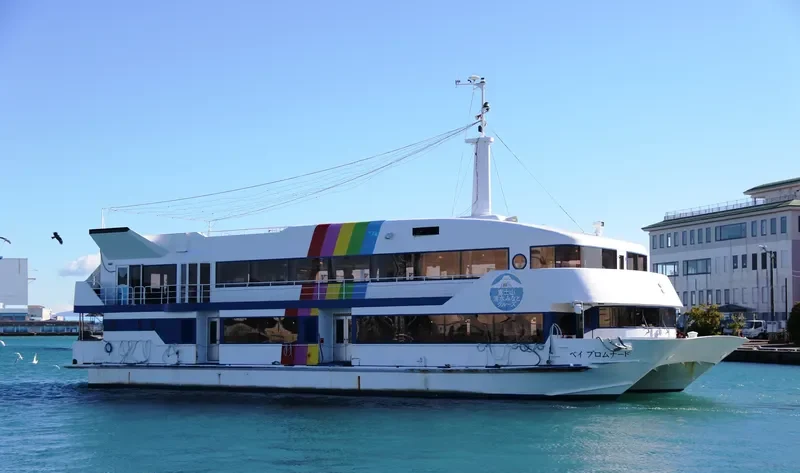 BAY PROMENADE Passenger Ship IMO 9016753 photo 2