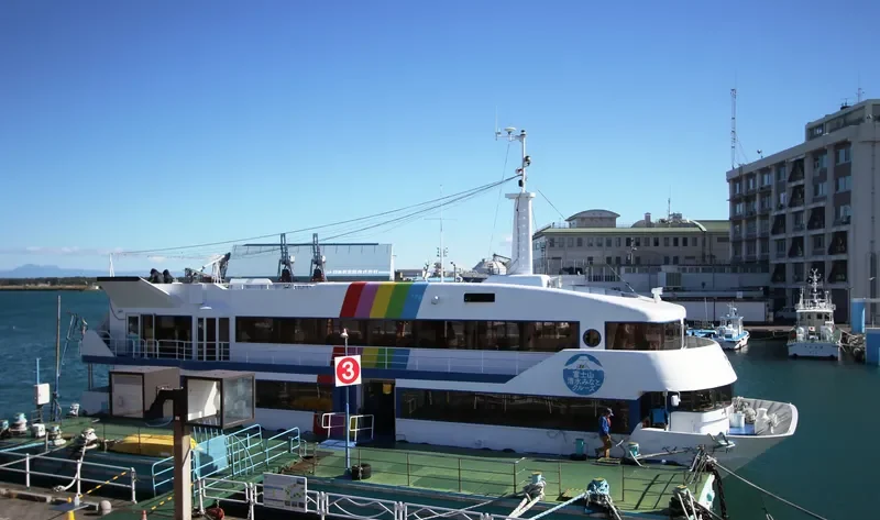 BAY PROMENADE Passenger Ship IMO 9016753 photo 5