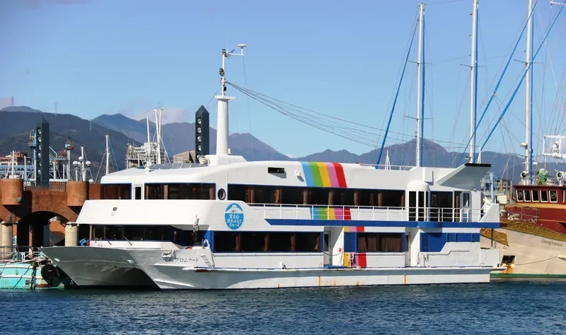 BAY PROMENADE Passenger Ship IMO 9016753 photo 6