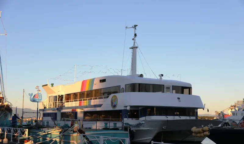 BAY PROMENADE Passenger Ship IMO 9016753 photo 8