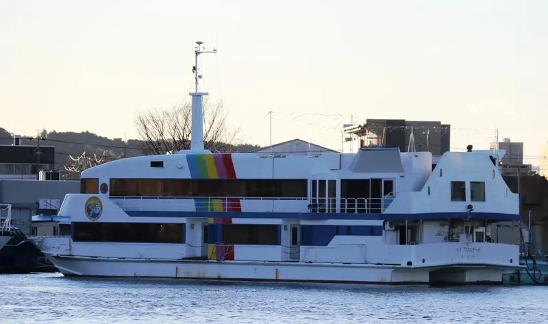 BAY PROMENADE Passenger Ship IMO 9016753 photo 9