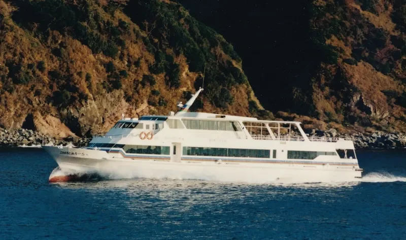 COBALT ARROW NO.5 Passenger Ship IMO 9016765 photo 2