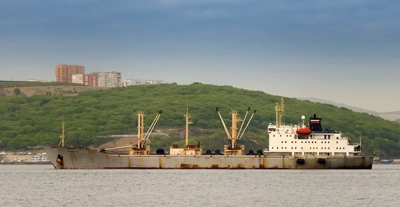 ZOLOTOY ROG General Cargo IMO 9016973 photo 2