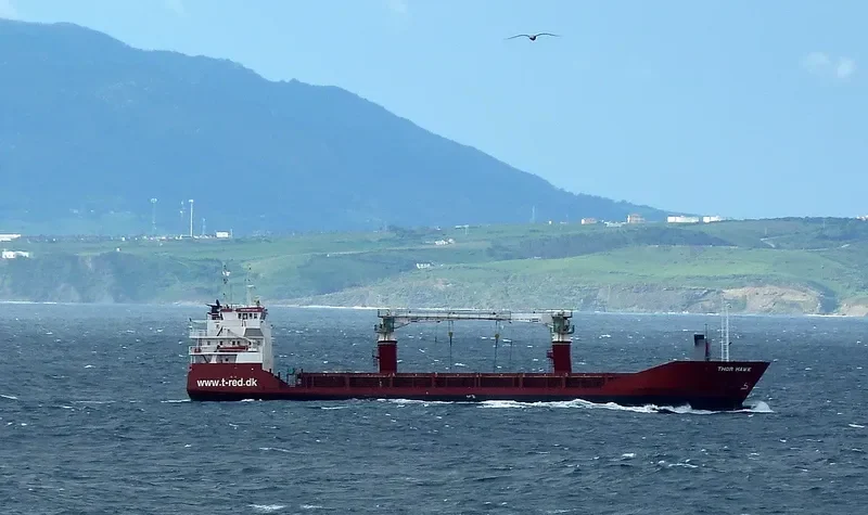 FLORES MANDIRI General Cargo IMO 9017240 photo 9