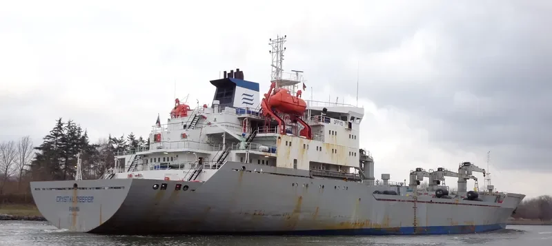 TAGANROGSKIY ZALIV General Cargo IMO 9017276 photo 9