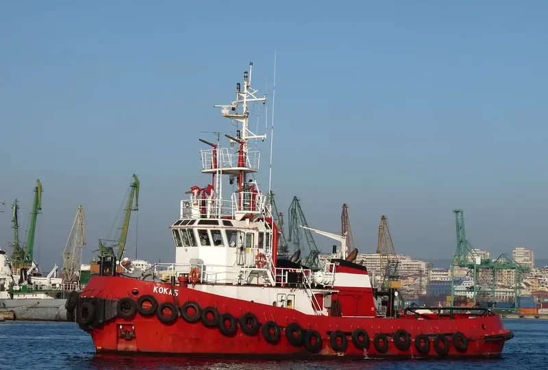 ALEXANDRU 2 General Cargo IMO 9017331 photo 10