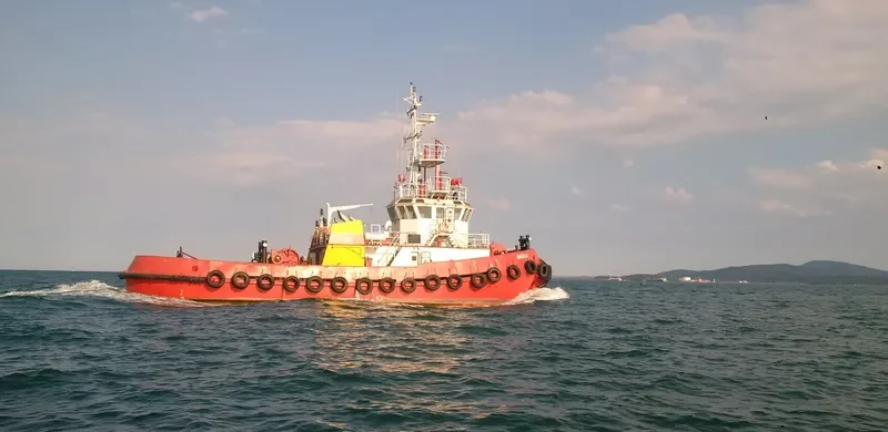 DOBRYNYA General Cargo IMO 9017343