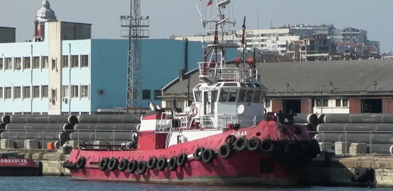DOBRYNYA General Cargo IMO 9017343 photo 2