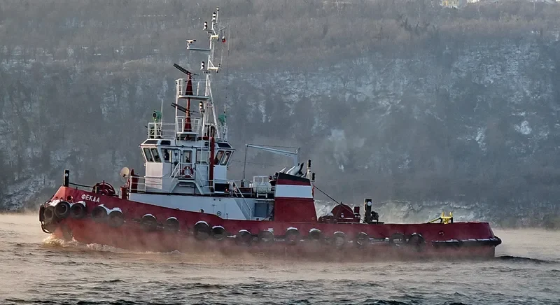 DOBRYNYA General Cargo IMO 9017343 photo 3