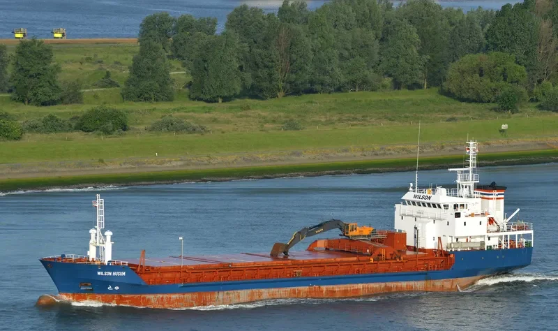 WILSON HUSUM Bulk Carrier IMO 9017379 photo 2