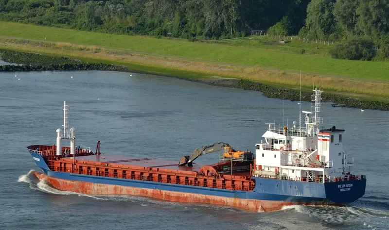 WILSON HUSUM Bulk Carrier IMO 9017379 photo 3