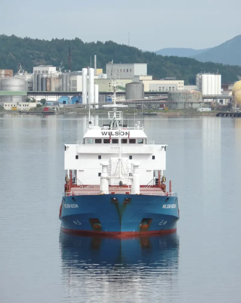 WILSON HUSUM Bulk Carrier IMO 9017379 photo 4