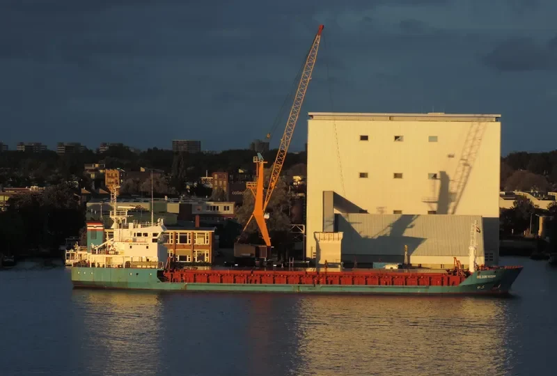 WILSON HUSUM Bulk Carrier IMO 9017379 photo 10