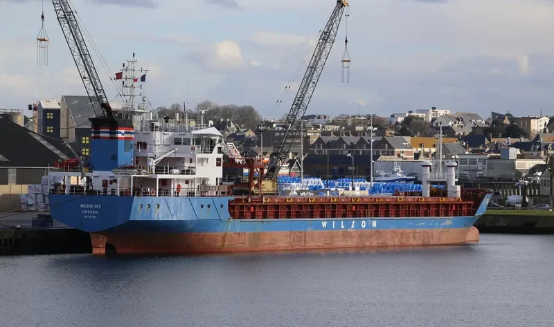WILSON SKY General Cargo IMO 9017393 photo 2