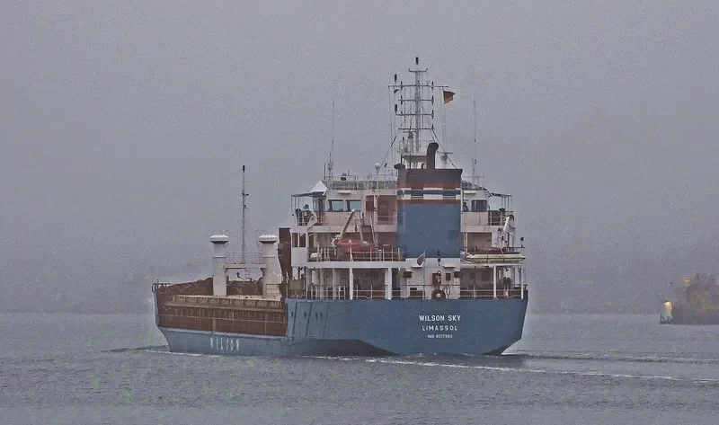 WILSON SKY General Cargo IMO 9017393 photo 5