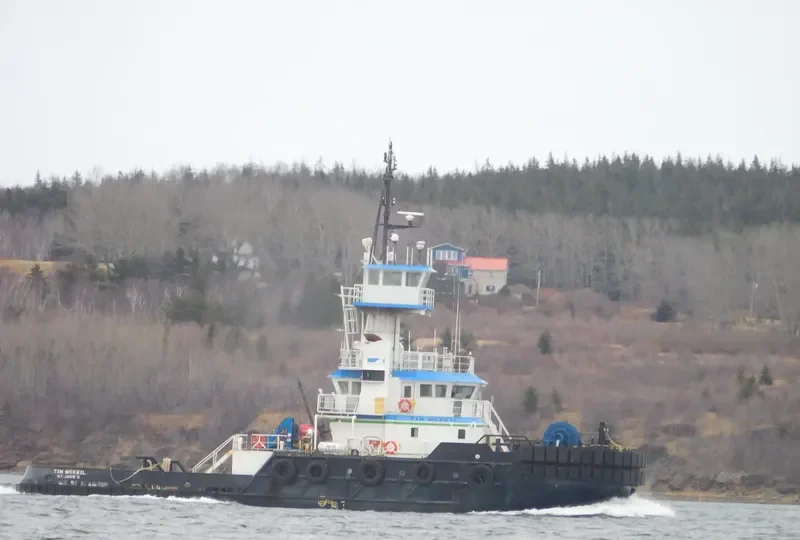 TIM MCKEIL General Cargo IMO 9017604 photo 6