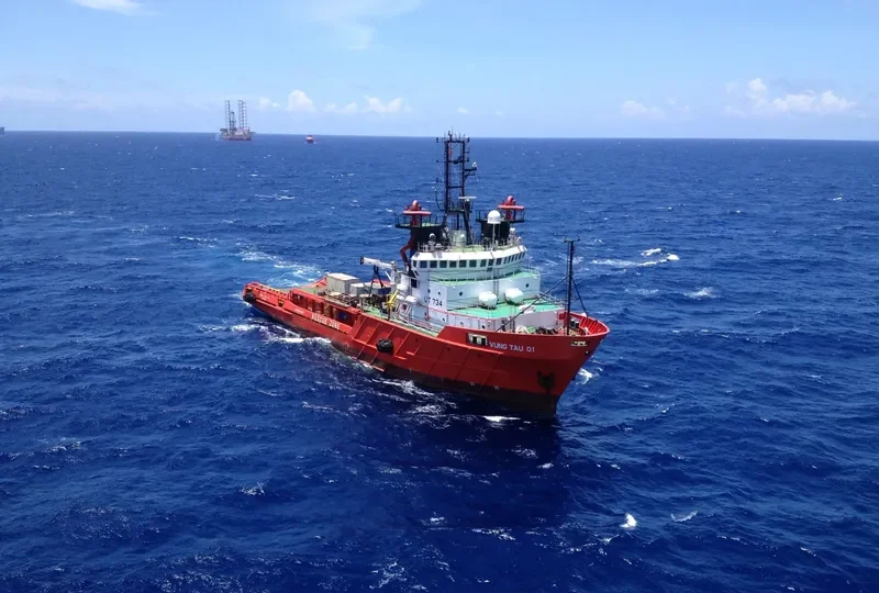 VUNG TAU 01 Offshore Vessel IMO 9017680 photo 4