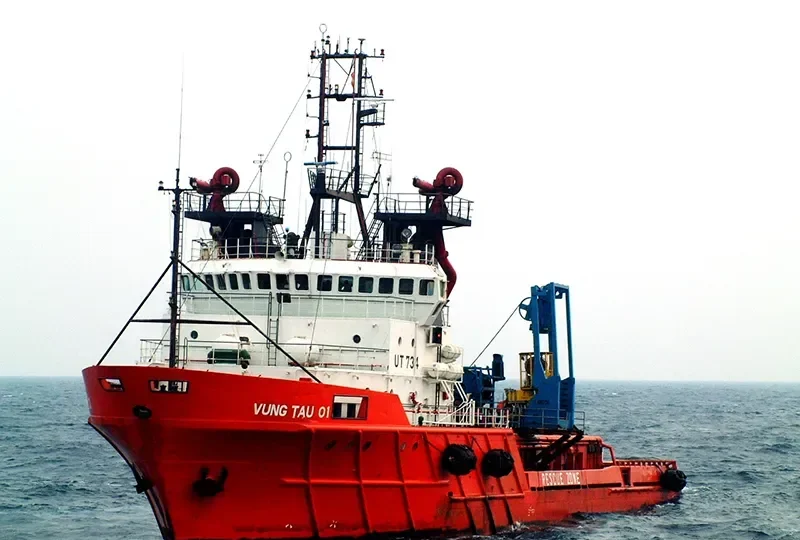 VUNG TAU 01 Offshore Vessel IMO 9017680 photo 7