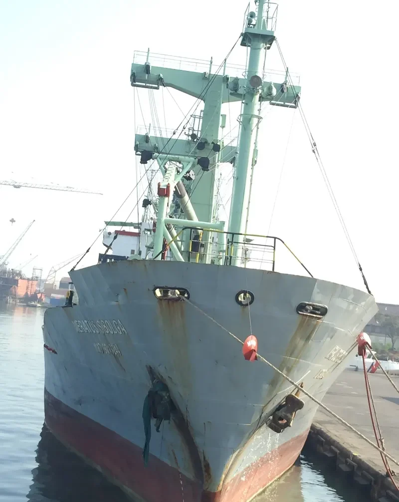 MERATUS SIBOLGA General Cargo IMO 9018244