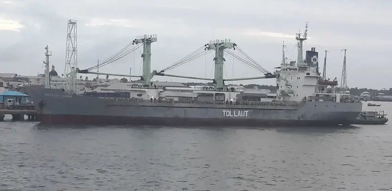 MERATUS SUMBA General Cargo IMO 9018256 photo 2