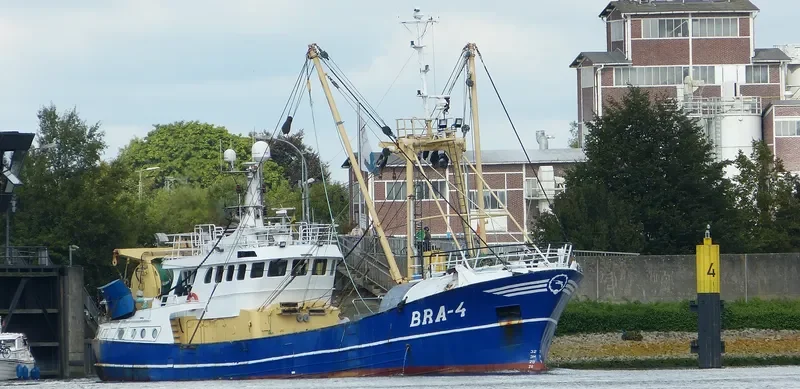 DESTINY BRA4 General Cargo IMO 9018593 photo 7