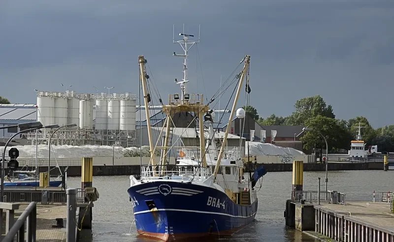 DESTINY BRA4 General Cargo IMO 9018593 photo 8