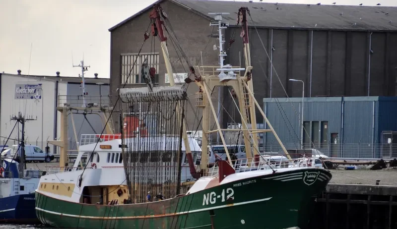 PBINS MAURITS General Cargo IMO 9018608 photo 2