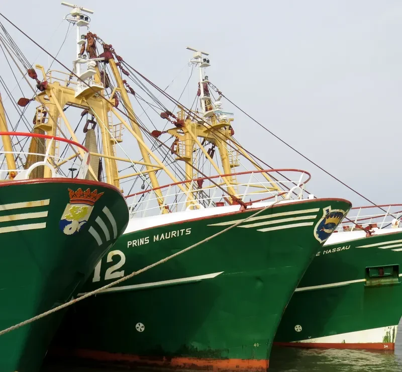 PBINS MAURITS General Cargo IMO 9018608 photo 10