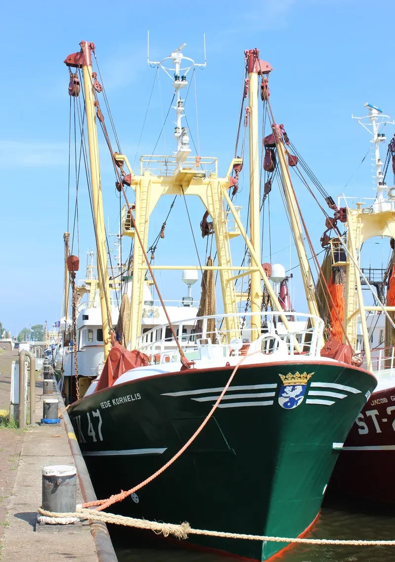 IEDE KORNELIS General Cargo IMO 9018610 photo 10