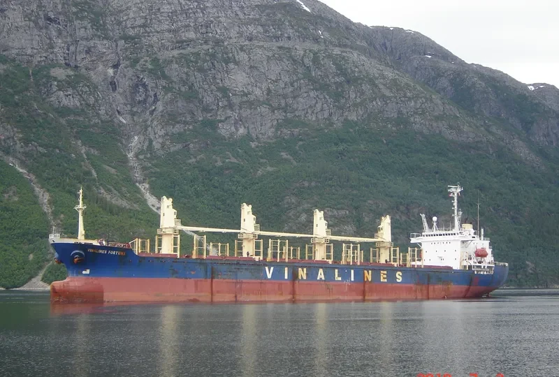GREAT WENSHAN Bulk Carrier IMO 9018751 photo 3