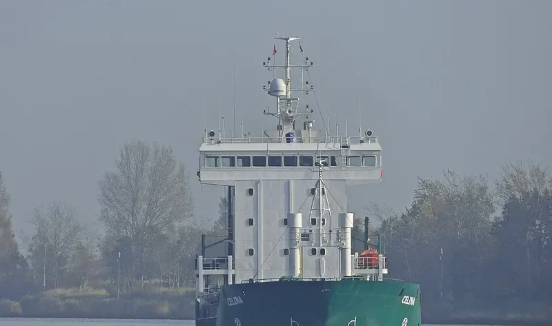 CELINA General Cargo IMO 9019200 photo 8