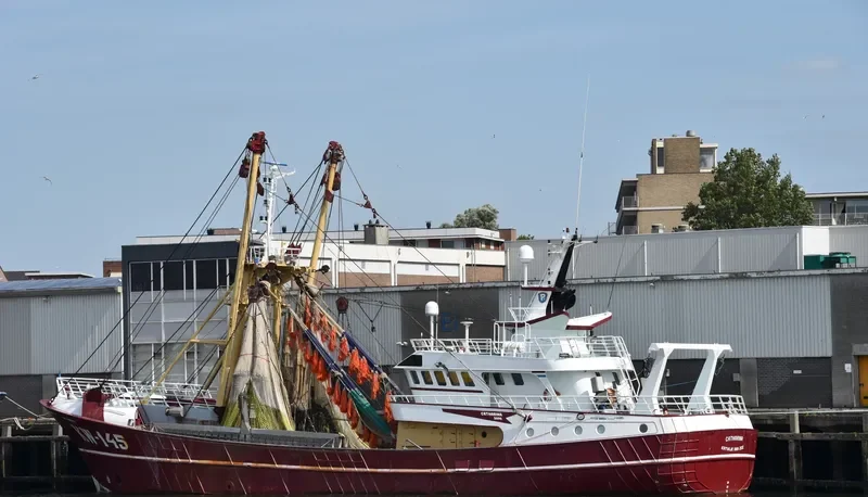 CATHARINA General Cargo IMO 9019365 photo 2