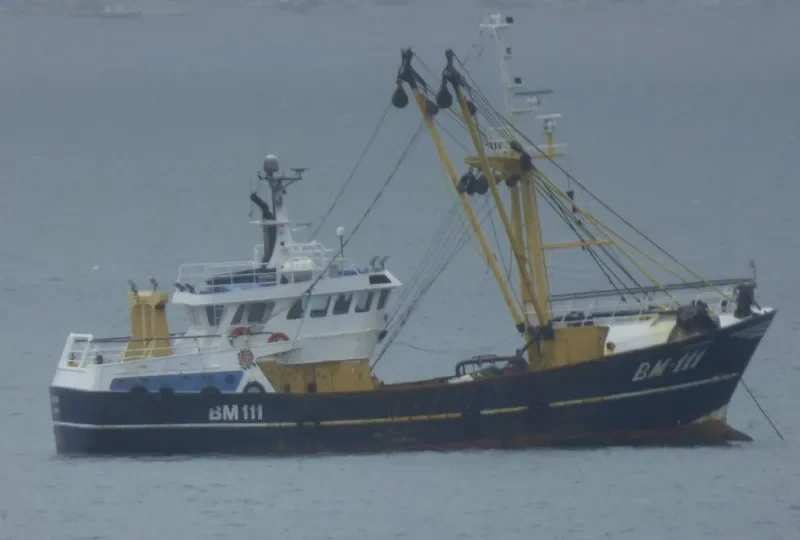CATHARINA General Cargo IMO 9019365 photo 3