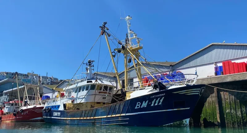 CATHARINA General Cargo IMO 9019365 photo 8