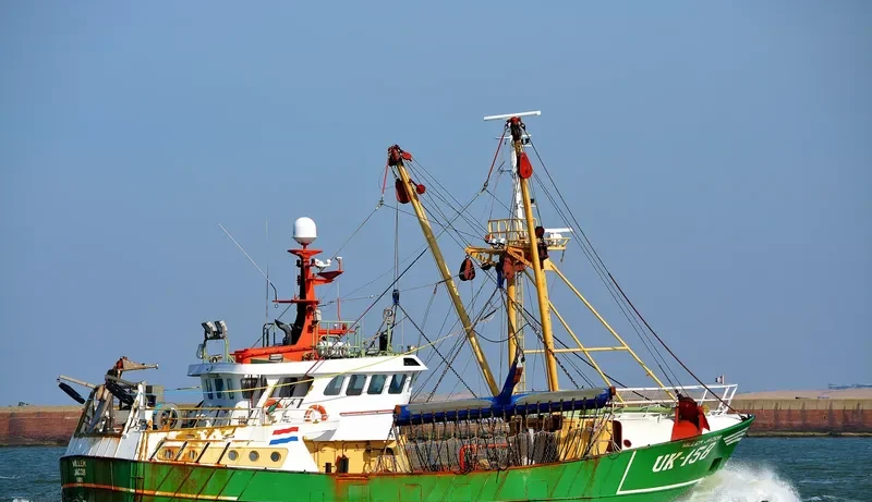 WILLEM JACOB General Cargo IMO 9019420